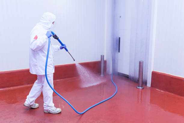 Best Rust Removal  in Brenham, TX